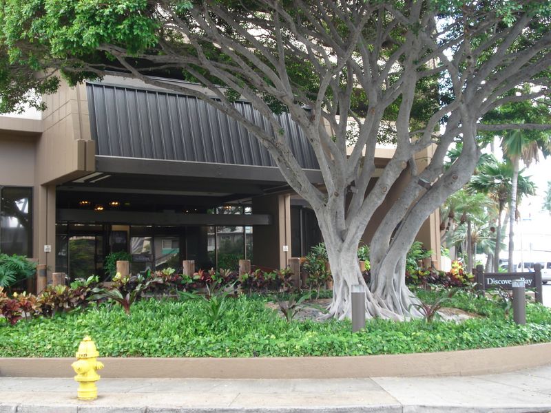 Discovery Bay Condo Rental